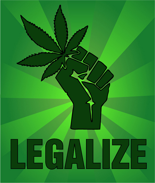 Legalizzazione della Cannabis, un modo concreto per contrastare mafie e terrorismo e tutelare la salute dei cittadini