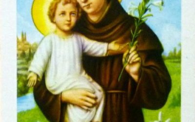 Sant’Antonio liberaci dagli ipocriti e dagli opportunisti