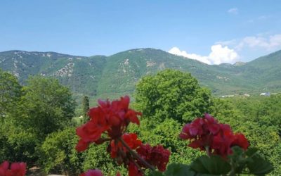 Oggi è andato in scena il primo vile tentativo di sabotaggio del: “Progetto di Sviluppo Turistico Ecosostenibile del Comune di Serino”