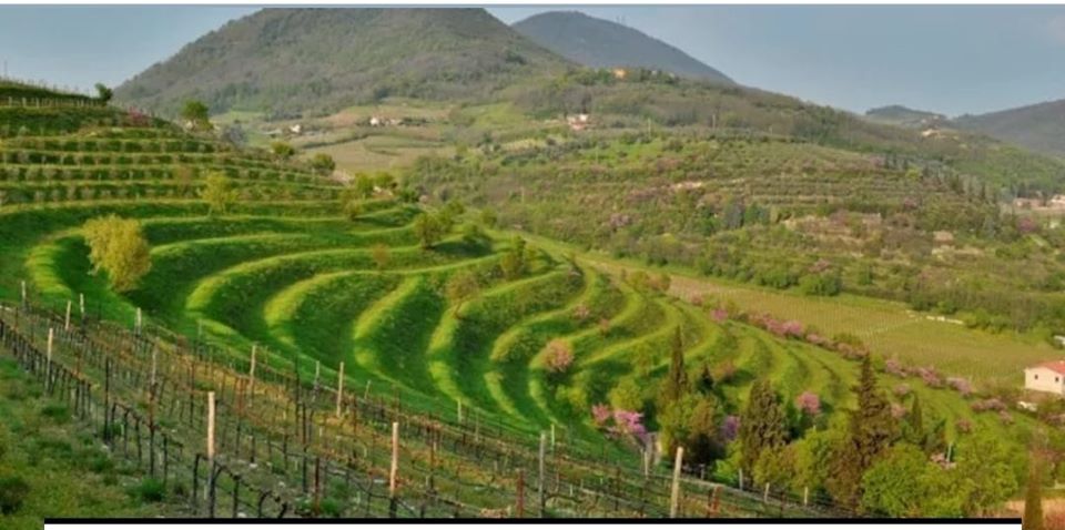 Made in Italy a rischio ed attività in ginocchio causa psicosi da coronavirus – APPROFONDIMENTO