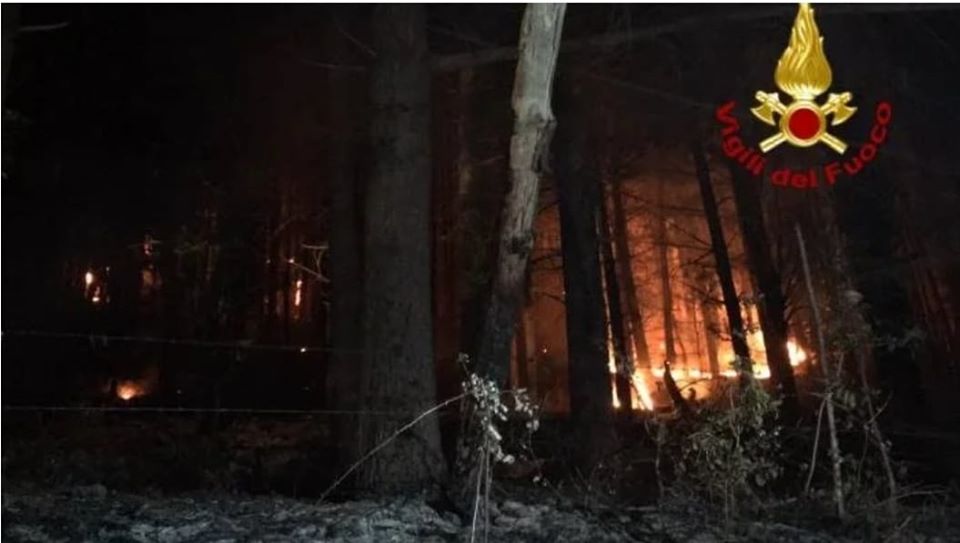 Serino, in fiamme il bosco del Terminio: danni ingenti – ARTICOLO ottopagine.it