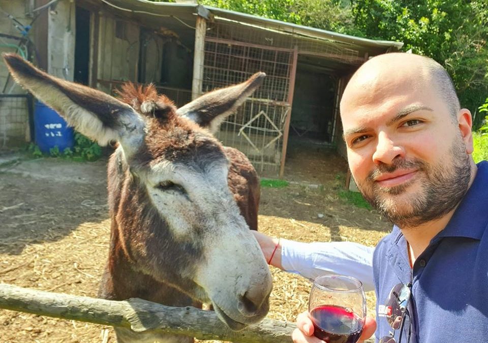 Vi presento il mio amico ciuchino. Asini si diventa, non si nasce