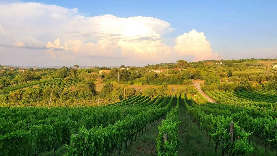 Buona giornata mondiale della biodiversità dalla mia terra 2021